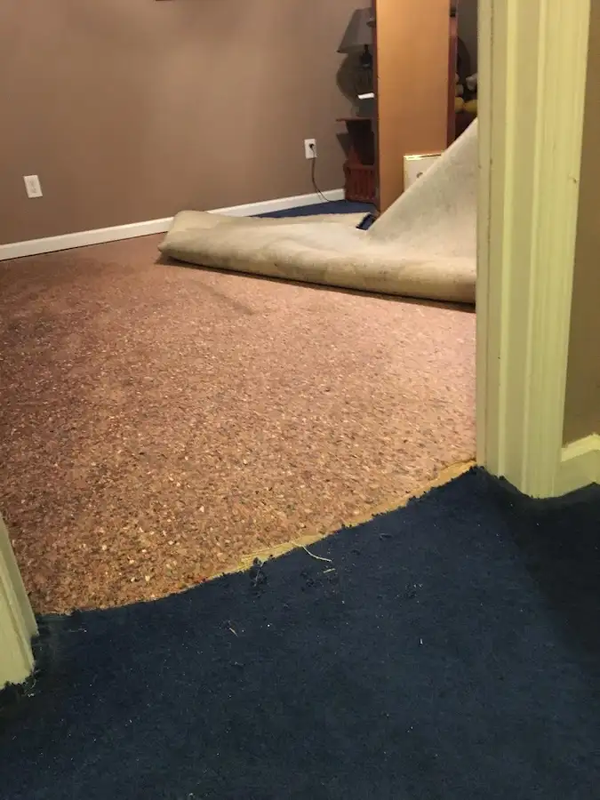 Carpet pad removal revealing water damage during Drying & Dehumidification in Country Homes