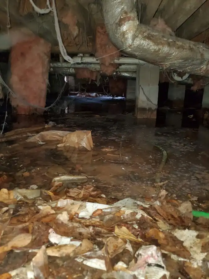 Crawl space flood assessment for Commercial Water Damage Restoration in Country Homes