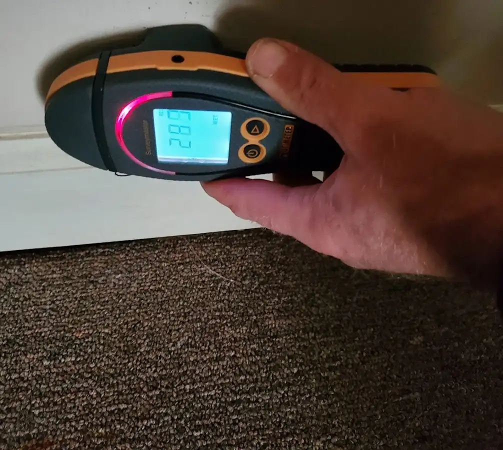 Moisture detection at baseboard during Sewage Cleanup & Sanitation in Country Homes